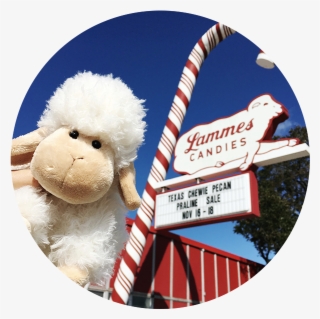 Lammie - Livestock #8147499