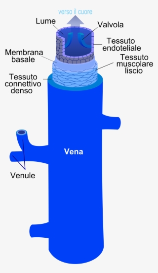 Open - Bottle #8147512