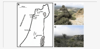 Location Of The Six Naturally Growing Olive Populations - Outcrop #8149209
