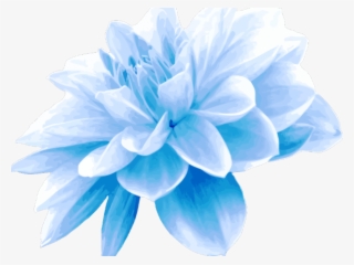 Teal Clipart Blue Green Flower - Blue Flowers Png Transparent #8150220