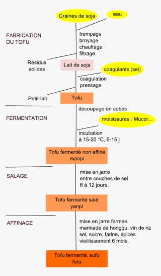 Tofu Fermenté Tradit - Procédé De Fabrication Du Lait De Soja #8151091
