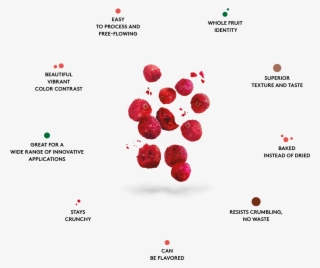 Die Vorteile Von Crunchy Cranberrys™ - Diagram #8151891