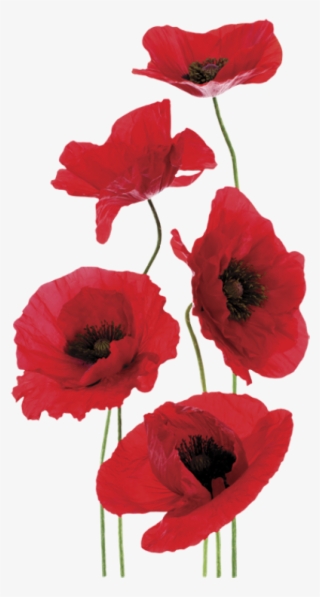 Wall Art Sticker Sublime Fragrances - Remembrance Day #8151993