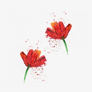 Poppies - Orange Lily #8152014