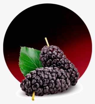 Cranberry Concentrate - Mulberry Png #8152337