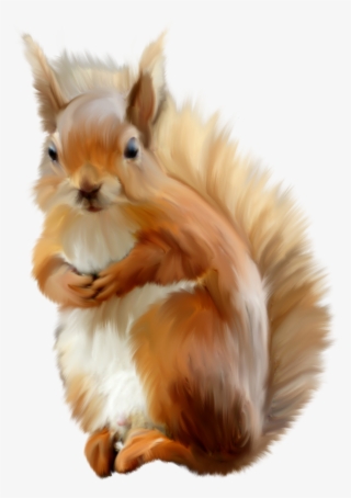 Animales Infantiles Png - Squirrel #8153566