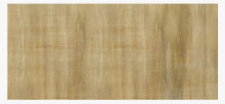 Old Paper Scroll - Plywood #8154167