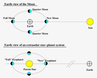 A Not To Scale Cartoon Illustrating The Similarity - Circle #8155583