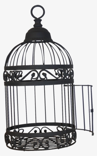 Birdcage Transparent Images - Open Bird Cage Png #8155960