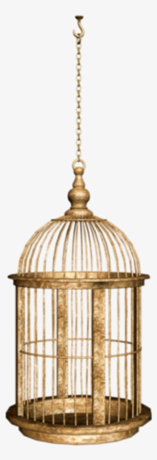 Birdcage Sticker - Cage #8156156