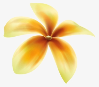 Free Png Download Yellow Flower Png Deco Png Images - Frangipani #8156633
