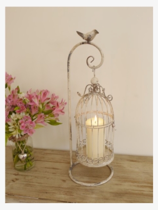 Cage #8156768