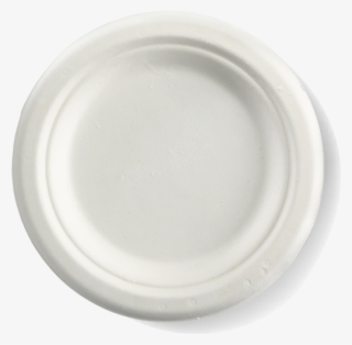 150mm White Sugarcane Plates - Biopak Plates #8157322
