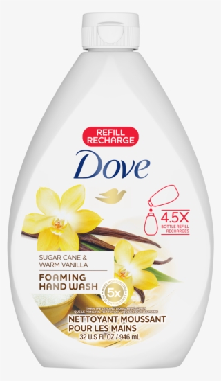 Dove #8157572