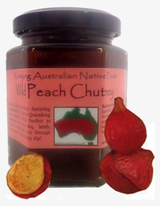 Chutney V=1430809177 - Peanut Butter Cookie #8157800