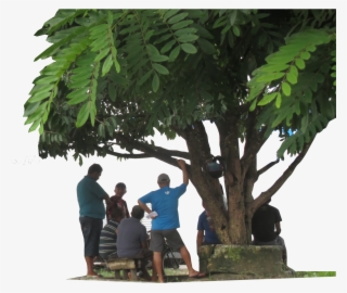 Arvore Sombra Conversa Prosa - Vacation #8158603