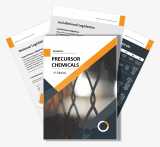 Chemical Diversion - Flyer #8158898