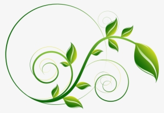 Decorative Leaf Png File #8160555
