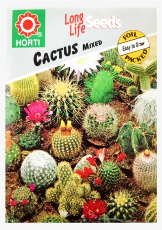 Sementes De Cactos #8160862