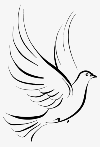 White Dove Clipart Dove Open Wing - Dove Line Drawing - Free ...