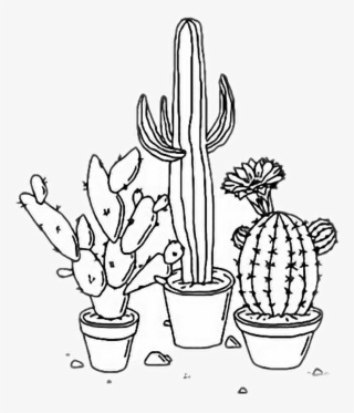 Cactus Aesthetic Plants Tumblr Outline Freetoedit Rh - Aesthetic Png Black And White #8161407