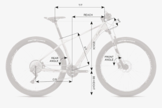 Geometry Natural Rc - Green Cannondale Trail 7 #8161700