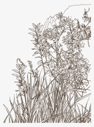 Adicionar Lightbox Baixar Comp Colorida Flora Promover - Pond Pine #8162562