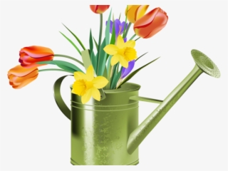 Watering Can Clipart Newsletter - Tulips And Daffodil Clipart #8162632
