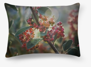 Almofada Retangular Soft Light On Winterberry Shrub/luz - Cushion #8162863
