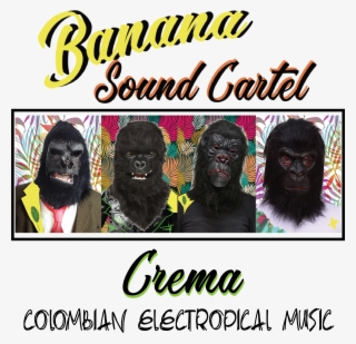 Cartel Png #8162930
