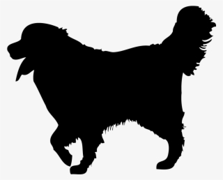 Condroitina E Glucosamina - T-shirt #8163487