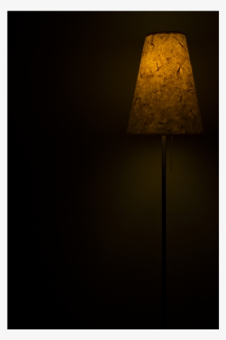 Lampshade #8163561