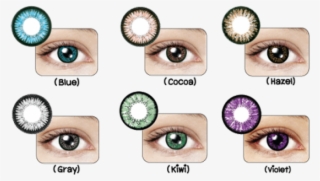 Maxim Contact Lens Blue Box #8163802