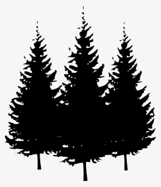 Download Png - Transparent Pine Tree Clipart #8163803 Download Png - Transparent Pine Tree Clipart #8163803