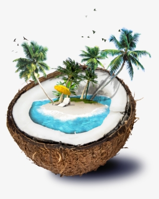 Coconut Travel Material Water Template Shading Borders,shading - Manipulation Of Summer Photoshop #8164002