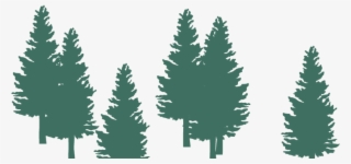 Christmas Tree #8164252