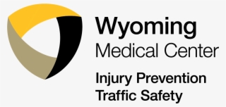 Wmc Injury Prevention Traffic Safety - Shelter Charity #8164617