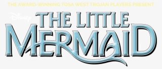 Little Mermaid #8166548 Little Mermaid #8166548