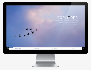 Grey Goose - Design #8167623