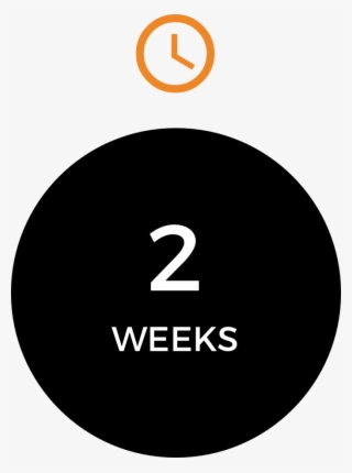 Program - Circle #8168387