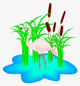 Flamingo Clipart - Clip Art #8168721