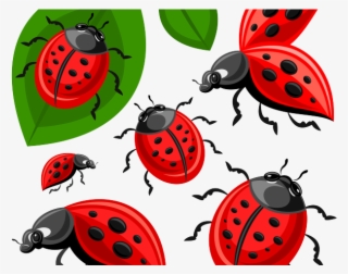 Ladybug Clipart Egg - Ladybird Beetle #8169945