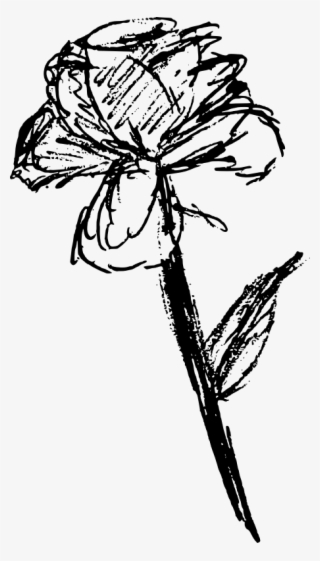 This Png File Is About Line Art , Nature , Flower , - All Clipart Art Black And White For Windows 98 #8169954