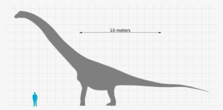 Description[edit] - Puertasaurus #8170201