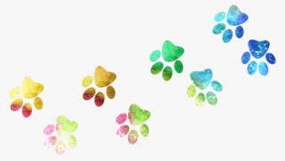 Arco Iris Sweet Lime Fizz - Floral Design #8170673