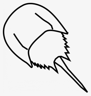 Large Size Of Simple Drawing Of Anchor Images - Horseshoe Crab Drawing Easy #8170979