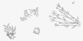 Every Day 2 Pm - Sketch #8171072