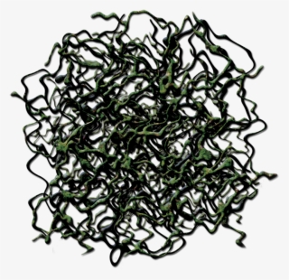 24 Mar 2009 - Circle #8171817