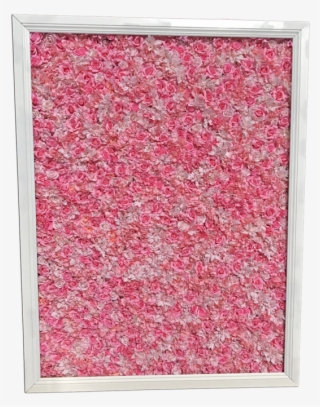 Candyland / Ice Cream - Picture Frame #8171925