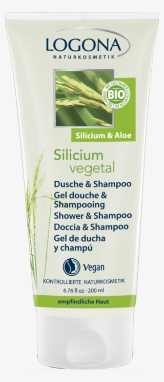 Shampoo #8172391